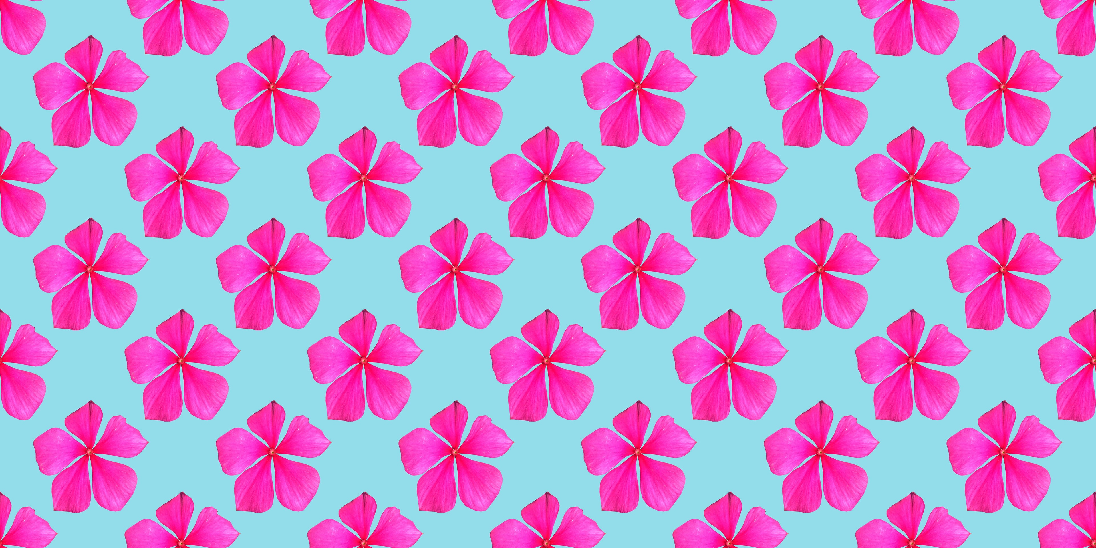 Pink Blooming Sky Skater Skirt