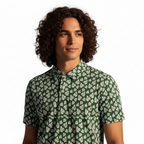 Monstera on Green - Studio